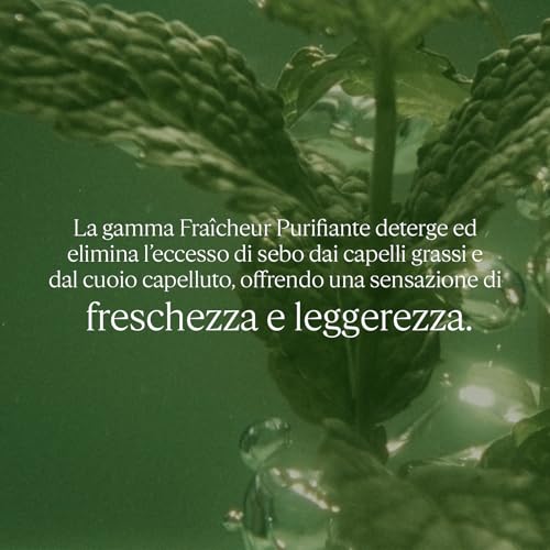 L’Occitane Aromachologie shampoo detergente per capelli normali e grassi 300 ml - 2