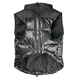 Zoom IMG-2 homeilteds abiti da compagnia pet Zoom IMG-2 homeilteds abiti da compagnia pet