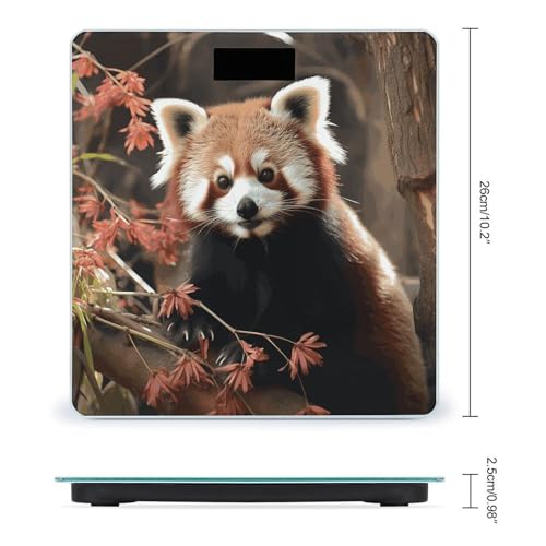 Báscula digital inteligente para baño con pantalla grande miniatura 2