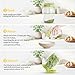 Luckyiren 2 Set Seed Sprouter Kit for Wide Mouth Jars - Germination Tray with 316 Stainless Steel Mesh, BPA Free Plastic Drip Tray & Tilted Lid for Bean Sprouts, Broccoli, Alfalfa, Microgreens