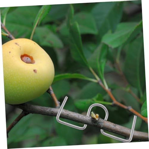 Clips de pliage pour branches de plantes avec angle de cintrage précis - 8