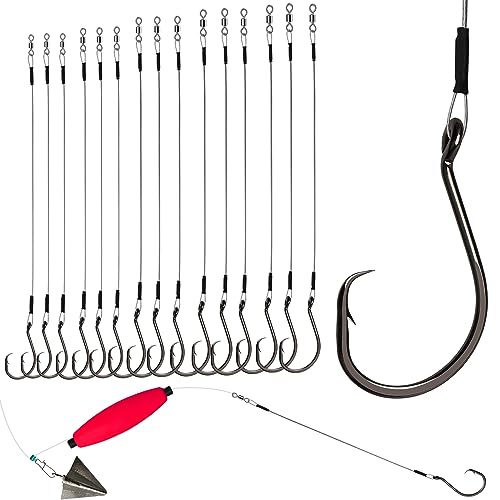 Dovesun 30PCS Circle Hooks Fishing Pre-Rigged Catfish Rig for Saltwater Freshwater Catfish Hooks with Wire Leader Five Sizes 2/0 4/0 6/0 8/0 10/0