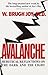 Avalanche: Heretical Reflections on the Dark and the Light