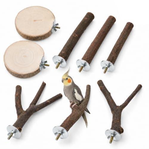 Layposy 8 Piezas Posaderos Naturales para Pajaros De Madera, Perchas Jaula Ventana para Palomas Periquito Australiano NINFA Canario, Juguete para Aves