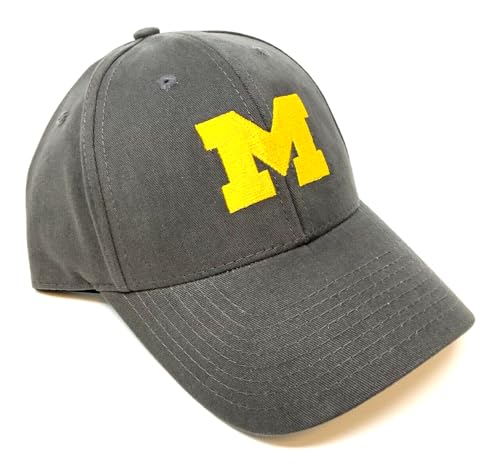 Gorra ajustable curva gris con logo Michigan Wolverines miniatura 1