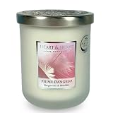  Heart & Home HHEDS07 - Candela in Cera di soia - Piume d\'Angelo - 115g