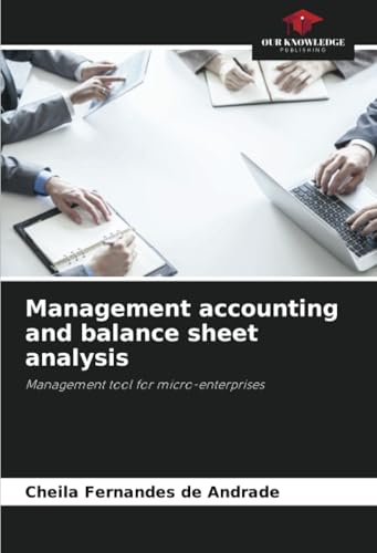 Management accounting and balance sheet analysis: Management tool for micro-enterprises