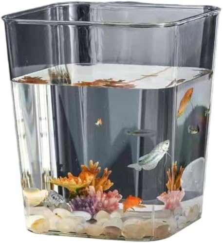 Vilom   vX`bN AN e eE ϗtA CeAp  k͔| ANAE {E  _J ԕr p (`i25*25*28.5cmj)