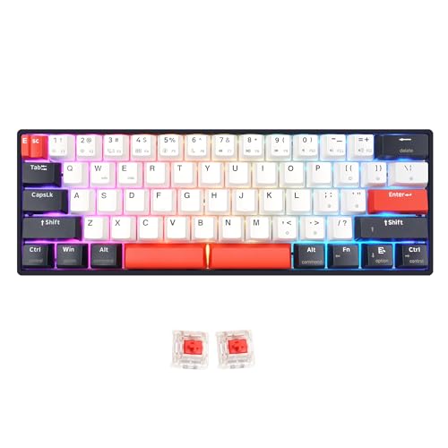 MOLGRIA SKYLOONG GK61 Dual-Space RGB Backlit Gaming Keyboard with Hot Swappable Brown KTT Machinery Switches and Double-Shot Keycaps, QMK Set Tap-Hold Function Keys USB-C Wired Mechanical Keyboard