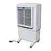 Master BC 60 - Climatizzatore biocrefrigerante, 3 piedi, 60 m2, 6000 m3/h immagine
