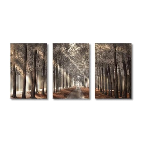 Cuadro sobre lienzo de 3 piezas XENITE con bosque brumoso y sol para decoración (21x30cm) 2