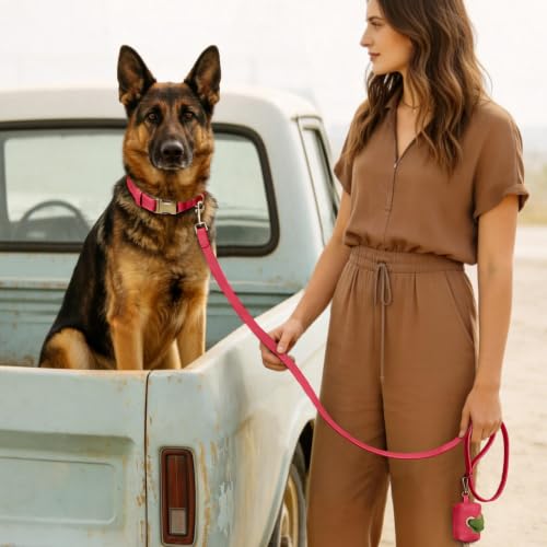 Image of Didog Soft PU Leather Dog Collar for Large Dogs, Quick Release, Red XL