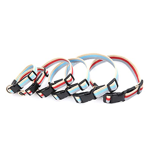 Collare per cani di piccola taglia media