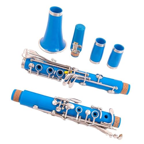 ABS {fB Bb g[Nlbg 17 L[jbPbLL[NlbgLbgA[{bNXƃANZT[t S҃Nlbg