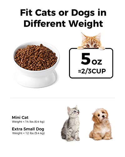 Image of LoeJan Elevated Cat Food Bowl, 5 Oz Ceramic Raised and Tilted Water Bowl, Anti Vomiting and Protect Pets' Spines Dishes for Small Dog, Fat Faced Cat, Kitten (White, 1 Pack)
