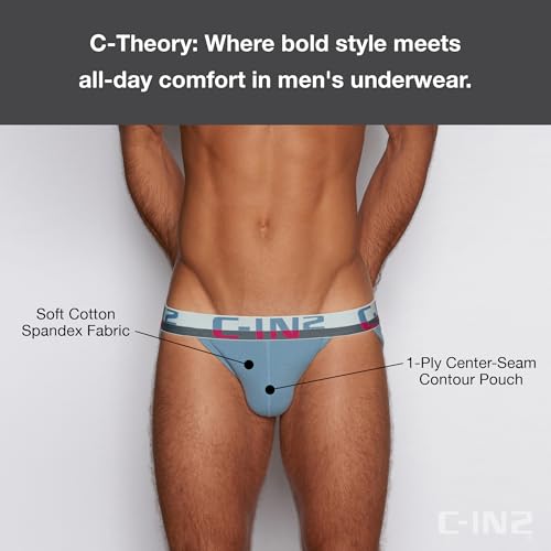 C-IN2 C-Theory Dash Brief2