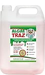 Algae Traz Moss and Mould Cleaner – 5ltr Concentrate Spray for Artificial Grass and Astro Turf also suitable for your Garden Patio Fence Slabs Decking Paving Brick Work Conservatory Roof and Driveway