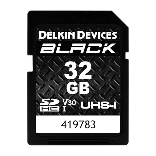 Delkin Devices Black Rugged SDHC Memory Card, UHS-I, C10, U3, V30, Full HD & 4K Video, Up to 90MB/s Read, 90MB/s Write (32GB)