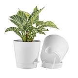 FaithLand 2-Pack 8 Inch Planter Pots for Indoor Outdoor Plants, Self Watering Flower Pots with Deep Reservoir, White …