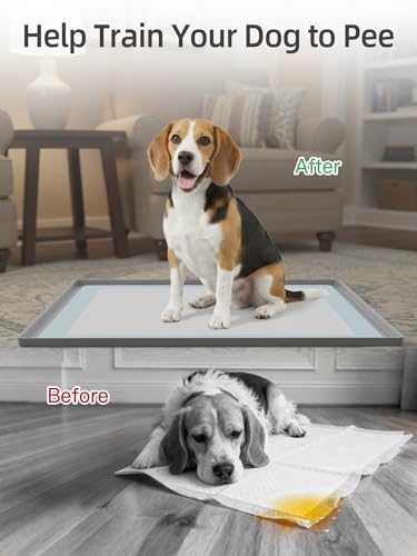 Petacola Dog Pee Pad Holder, 23.4 x 23.4 Inch Silicone Potty Holder, Leak-Proof & Non-Slip Design, Protects Floors from Mess, Easy-Clean, Lightweight & Portable, Fits Regular Pads, Gray - Thumbnail 4