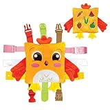 Buckle Toys - BokBok Chicken - Learning Activity Toddler Plane Travel Essential Toy - Develop Motor