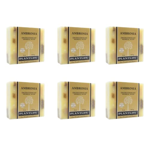 Plantlife Ambrosia 6-Pack Bar Soap - Moisturizing and Soothing Soap for Your Skin - Hand Crafted Using Plant-Based Ingredients - Made in California 4oz Bar