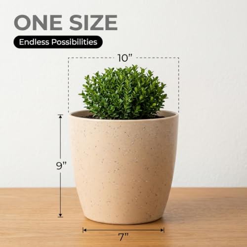 Image of YUCCABE ITALIA SHERA Stella 4 Inch Pack of 3 Piece Plastic Plant Pot for Home Decor Indoor Plant Pots for Living Room Plastic Flower Pot for Garden (Stone Beige, 10 INCH - 6 Pcs)