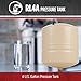 Red Lion RL4A - 4.5-Gallon Inline Pre-Charged Pressure Tank for Well Pumps, 3/4-Inch MNPT System Connection, Almond, 604653