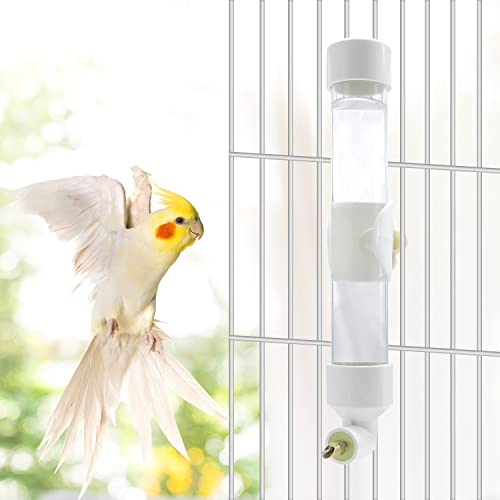 Bird Water Dispenser Parrot Waterer Automatic Bird Water Feeder For Medium Birds Parakeet Cockatiel Conure Caique (Medium) #TOP6