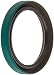 SKF 17231 LDS & Small Bore Seal, R Lip Code, CRW1 Style, Inch, 1.75