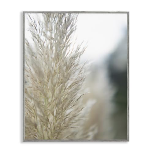 Pampas Grass Photography Scene, 16 x 20 Inch Framed Giclée Print