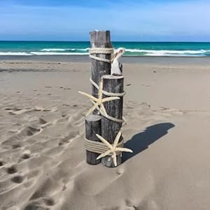 Pelicanonwoodpilingsnauticalstatuewithhangingstarfishcoastaldecorforporchgardenorpoolsidemarinebirdsculpturenauticaldecor  Urban Country Home Decor Pelican on wood pilings nautical statue with hanging starfishcoastal decor for porch garden or poolside marine bird sculpture nautical decor  urban country home decor