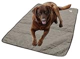 HyperKewl Evaporative Cooling Dog Pad, Large, Silver