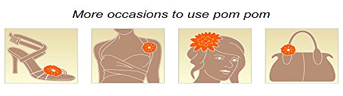 YOUMU Donne Clip di Scarpe Pompons Accessorio 10