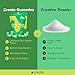 Create Creatine Monohydrate Gummies for Men & Women, Boost Focus, Strength, and Endurance, Anti-Melting Formula, Vegan, Gluten-Free, Non-GMO, 1.5g of Creatine per Gummy (Sour Green Apple)