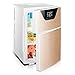 Tragbarer kompakter Kühlschrank 20 Liter für Reisen Wohnheim Wohnung Outdoor Schlafzimmer Kühlschrank Zuhause Auto Gefrierschrank Minibar Bürokühlschrank Schnellkühlung Kühler Wärmer Geräuscharm
