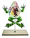 Eisco Labs Frog Dissection Model (Bull Frog) on Stand