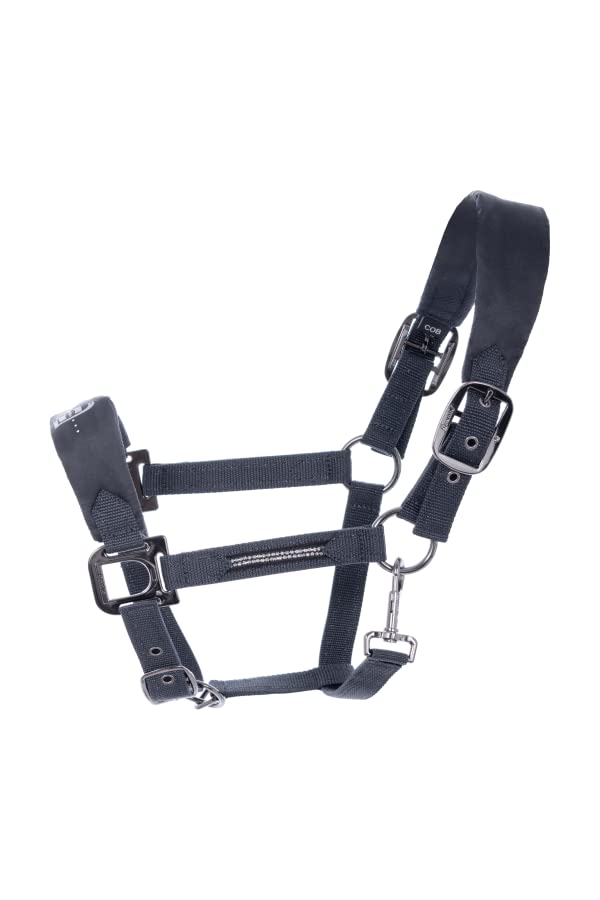 Licol Cavallo Hallona Twilight WB grand cheval collection 2022