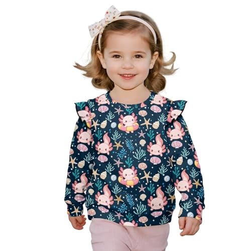 Toddler Sweatshirts Ruffle Long Sleeve Shirts Cute Clothes for Girls 1-8Y Toddler Tees Tops