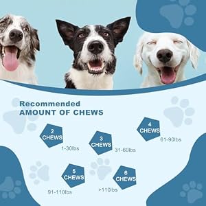 Joint Supplement for Dogs, Glucosamine Chondroitin for Dogs, Hip and Joint Support Supplement Chews Dogs Small Large Breed Dog Arthritis Pain Relief Joint Health Care Mobility Bites Treats for Dogs Joint Supplement for Dogs, Glucosamine Chondroitin for Dogs, Hip and Joint Support Supplement Chews Dogs Small Large Breed Dog Arthritis Pain Relief Joint Health Care Mobility Bites Treats for Dogs