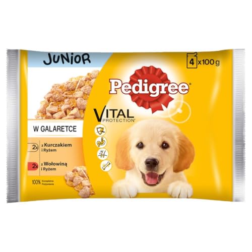 Pedigree Junior Choice of Flavours Nassfutter für Welpen Aller Rassen mit Rindfleisch und Reis in Gelee, Beutel 4x100g