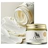 CHARMZONE-Mayu-Horse-Oil-Gold-Facial-Cream--Korean-Skincare-with-Horse-Oil-Extract-Golden-Seal-for-Intense-Moisturizing-Nourishing-Skin-Vitality--All-Skin-Types-237-fl-Oz-70-ml