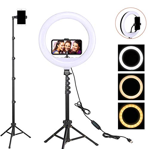 ZOMEi Ringlicht Ringleuchte LED Handy Dimmbar 12 Zoll Makeup Licht mit Kugelkopf Stativ und Handyhalterung für YouTube Video Live Licht strömen, Beauty Maniküre Tattoo Salon Beleuchtung