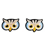 2 Pieces Cute Cartoon Owl Eye Iron On Patches, Kawaii Embroidered Sew On Patches Custom Clothes Patc