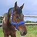 NIUTRIP Horse Halter with Wool Lining, Adjustable Halter for Horses Satin Hardware to Prevent Friction, Breakaway Halters for Horses，Fits Pony, Yearling, Draft Horses (Blue, S)