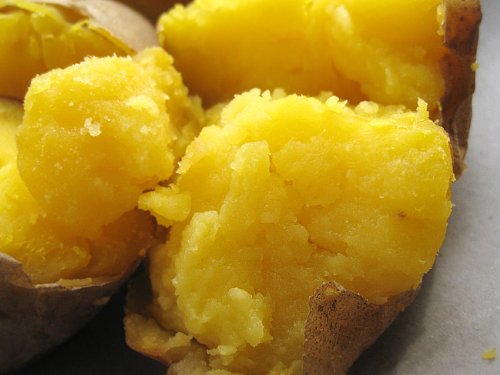 種 じゃがいも インカのめざめの人気商品 通販 価格比較 価格 Com