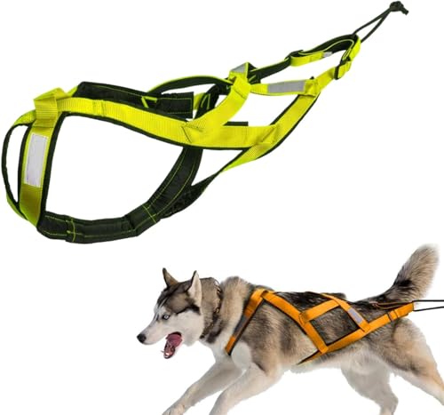 Imbracatura per cani da tirare, imbracatura per cani che mushing sulla schiena, imbracatura husky a X, imbracatura per cani da traino, slitta per animali domestici, slittino per animali domestici
