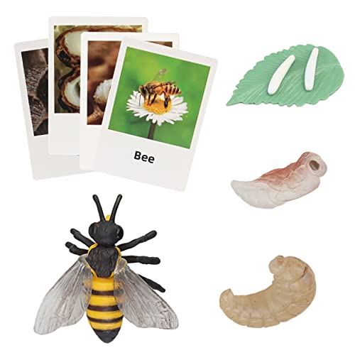Montessori Life Cycle Animal Figures with Flash Cards, Realistic Animal Plant - Bild 15 von 71