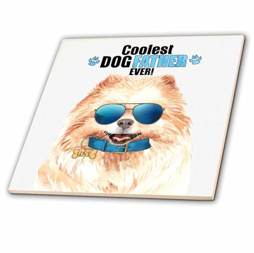 8 Inch Glass Tile - Cute Pomeranian Dog Looking Cool in Sunglasses for Fathers Day Dogs Rule Collection