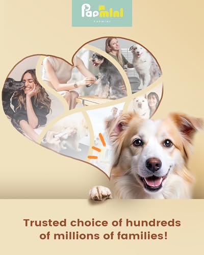 PAPMINI 2 in 1 Hundeschermaschine, Extra Leise Hundepfoten Trimmer mit LED-Licht, Professionelle Schermaschine Hund & Pfotentrimmer, Type-C Fellschere für kleine und große Hunde, Katzen